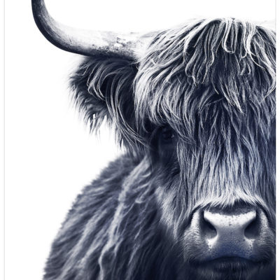 Yak wall art